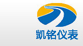 金湖香蕉视频APP官网仪表有限公司LOGO